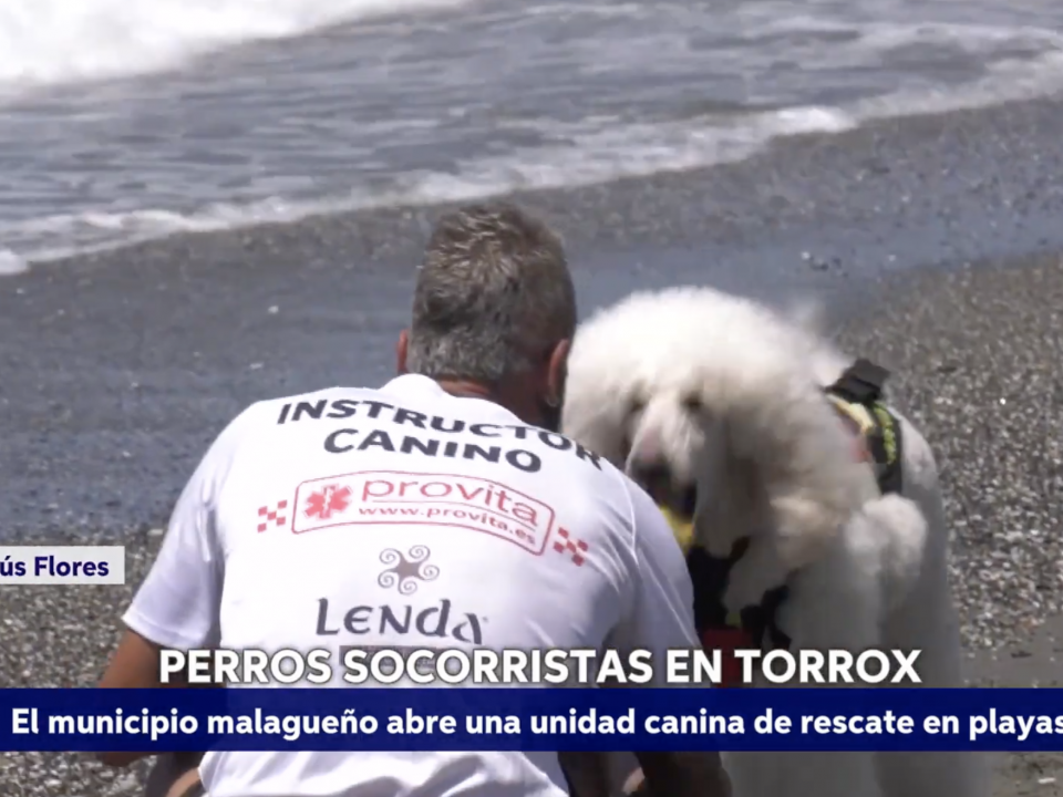 Montaje: "Torrox apuesta por los perros socorristas" (Canal sur noticias 03.08.2025)