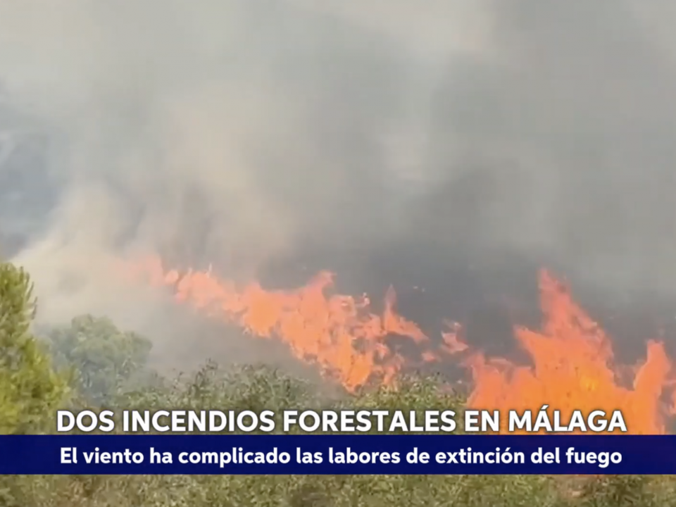 Montaje: Incendio en Málaga (Canal sur noticias 01.09.2025)
