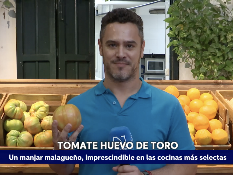 Montaje: El tomate huevo de toro un manjar del Valle del Guadalhorce (Canal Sur noticias 27.08.2025)